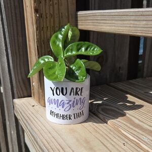 Modern Motivational Glazed Ceramic Pottery 3" Planter